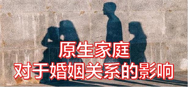 原生家庭对于婚姻关系的影响 ~ 華子（太原）